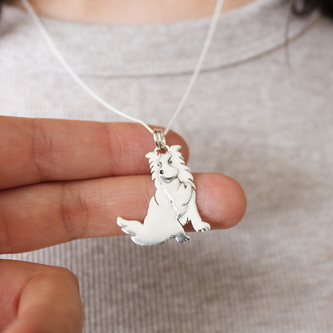 Collar Border Collie