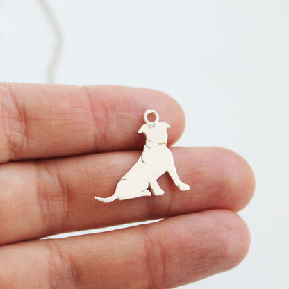 Pulsera Pitbull