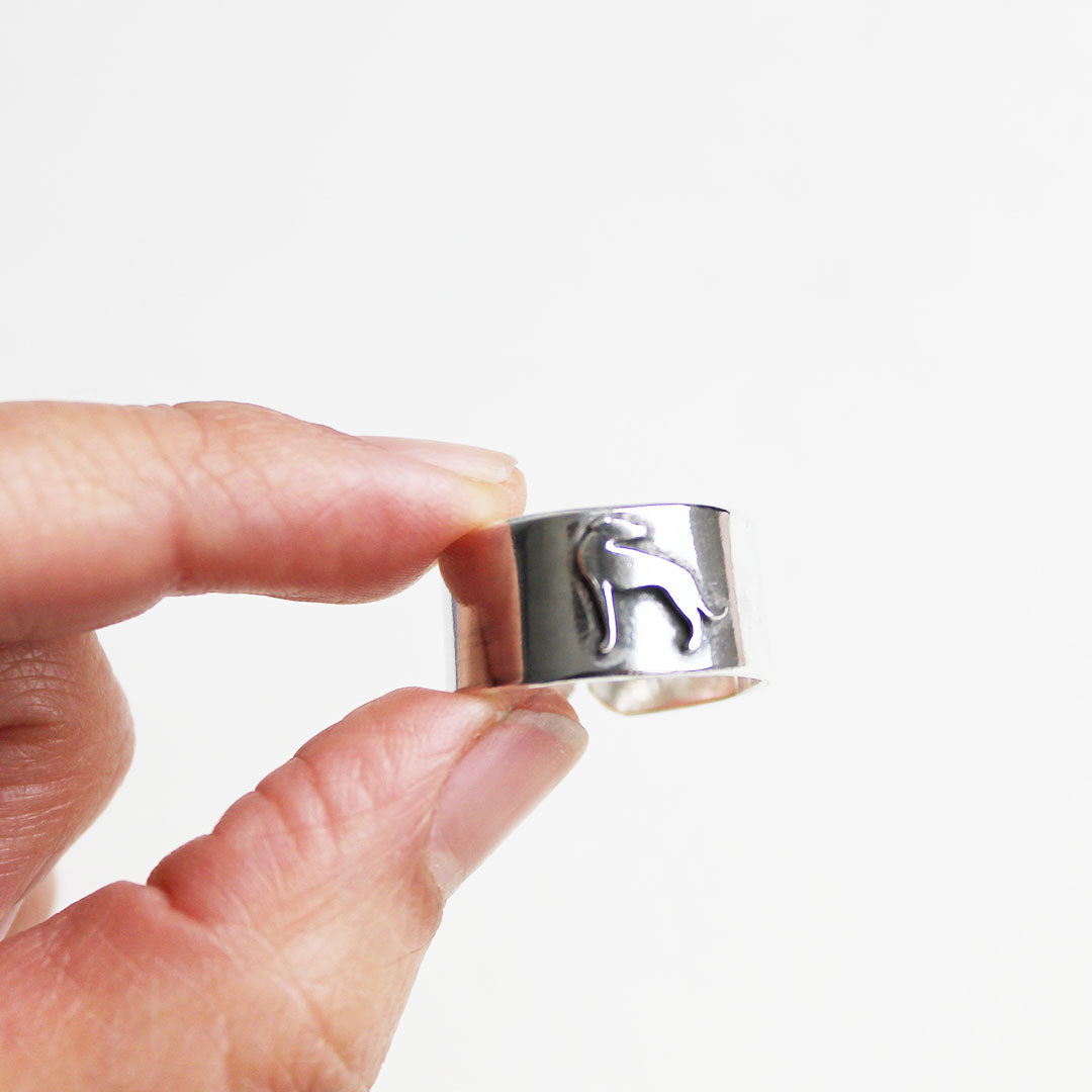 Anillo Galgo