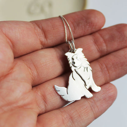 Collar Border Collie